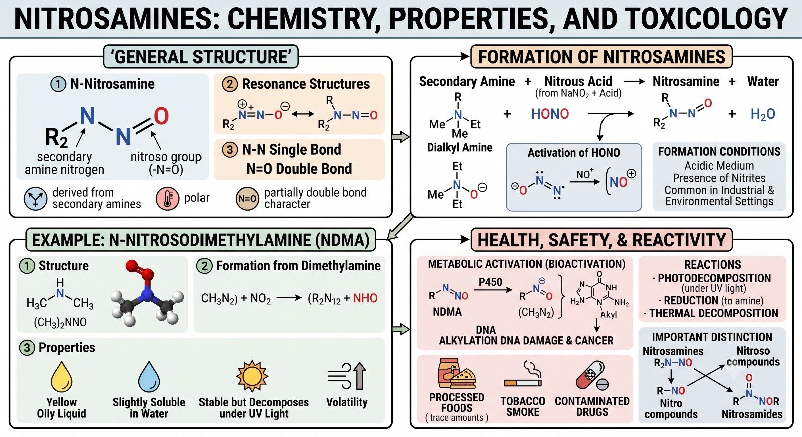 Nitrosamines in organic chemistry